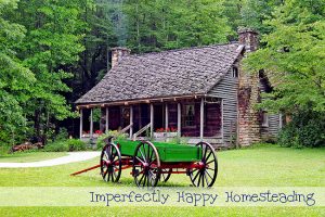 Homesteading Preppers - 8 Tweaks to Prepare for any situation.