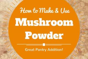 How to Make and Use Mushroom Powder - a Wonderful Addition to Your Pantry