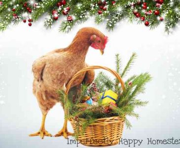 Christmas Gifts for Chicken People