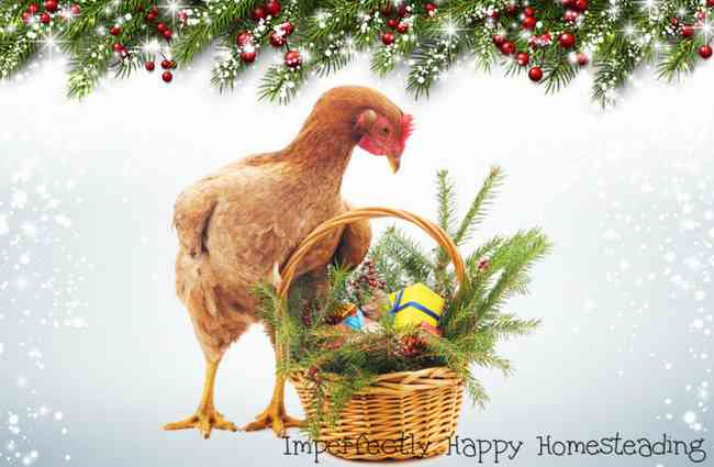 Christmas Gifts for Chicken People. A list of gifts your chicken loving friends and family want to see under the tree!