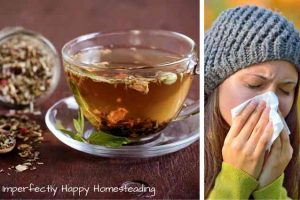 How to Make a Herbal Immune Boosting Tea - and fight cold and flu season naturally!