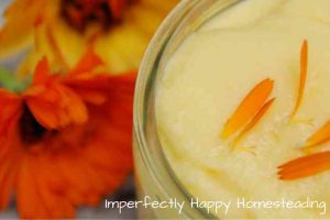Simple to Make Creamy Calendula Salve - Healing for Many Skin Conditions