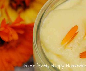 Simple to Make Creamy Calendula Salve - Healing for Many Skin Conditions