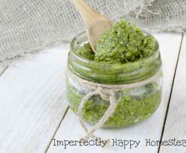 Carrot Top Pesto - use your fresh garden goodness in this simple and delicious recipe.