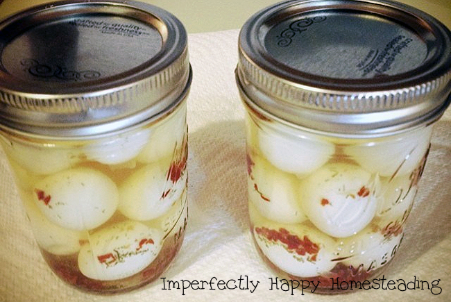Pickled Quail Eggs with a Kick Quick and Yummy