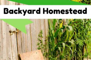 How to Make an Income From Your Backyard Homestead - Ideas to Get You Started
