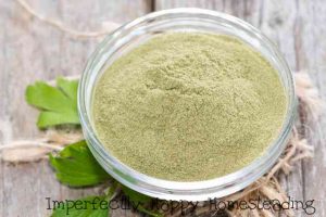 How to Make Celery Powder at Home - a great way to preserve and stretch your garden harvest.
