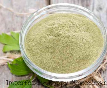How to Make Celery Powder at Home