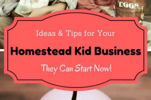 Homestead Kid Business They Can Do Now! Tips and Ideas that can help homesteading and farming kids start their own businesses.