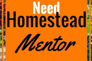 Homestead Mentors Why You Need One and How to Be One! From homesteading, farming, cheese making, crafting we need mentors!