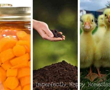 30 Things You Can Do to Get Your Homestead Spring Ready - Right Now!