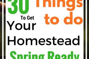 30 Things You Can Do to Get Your Homestead Spring Ready - Right Now!