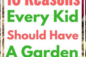 10 Fantastic Reason Every Kid Should Have a Garden. Gardening for kids!