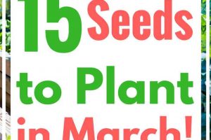 15 Vegetable, Herb and Fruit Seeds You Can Plant in March. Get your spring and summer garden off to a great start!