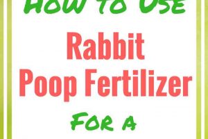 How to Use Rabbit Poop 'Fertilizer for a Better Garden