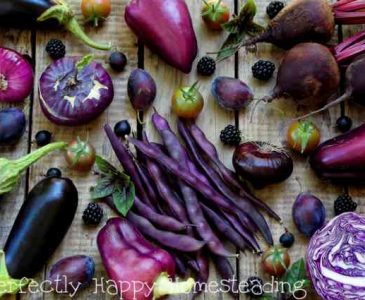25 Purple Vegetables, Fruits and Herbs you should be growing in your garden!