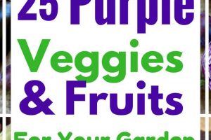 25 Purple Vegetables, Fruits and Herbs you should be growing in your garden!
