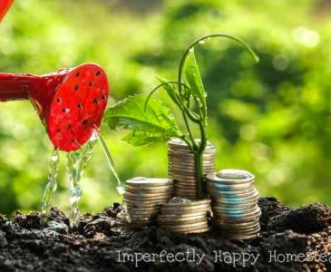 How to Cut Your Homestead Costs