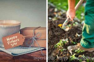 The Best Father's Day Gifts for Homesteading Dads