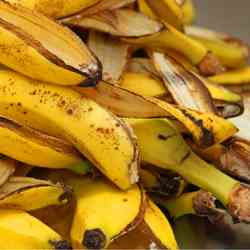 Banana Peels to Improve Soil 
