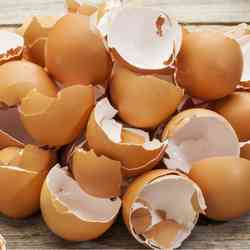 How to Improve Soil Without a Compost Pile - egg shells