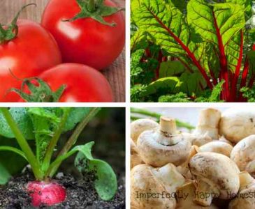 Vegetables You Can Grow Indoors