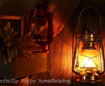How to Deal with Your Homestead Burnout