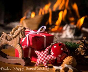 The Best Holiday Gift Guide for Homesteaders and Backyard Farmers