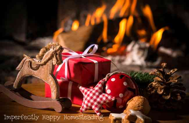 The Best Holiday Gift Guide for Homesteaders and Backyard Farmers