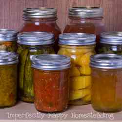 Easy Ways You Can Be An Apartment Homesteader Now