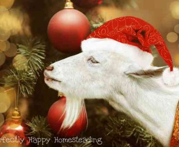 Freaking Awesome Gifts For People Who Love Goats