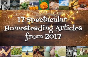 Homesteading Articles from 2017