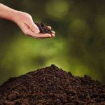 organic soil amendments