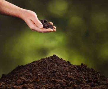 organic soil amendments