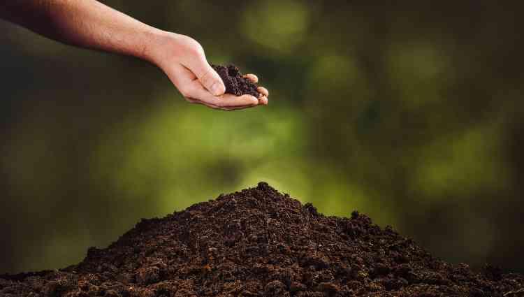 organic soil amendments for vegetable gardens