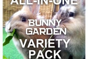 bunny garden seeds