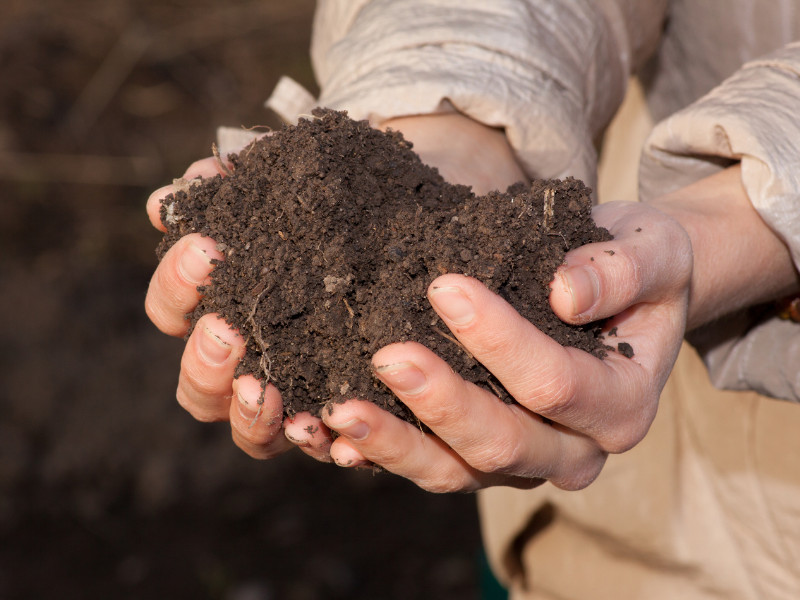 Gardening in January - soil preparation