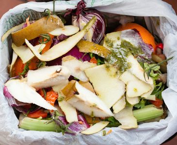Kitchen Composting Tips