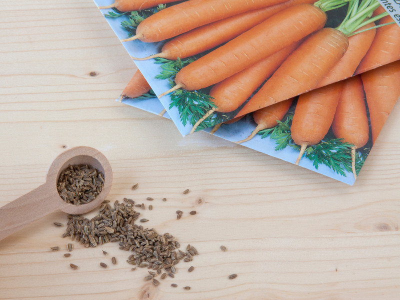 where to buy heirloom seeds carrots