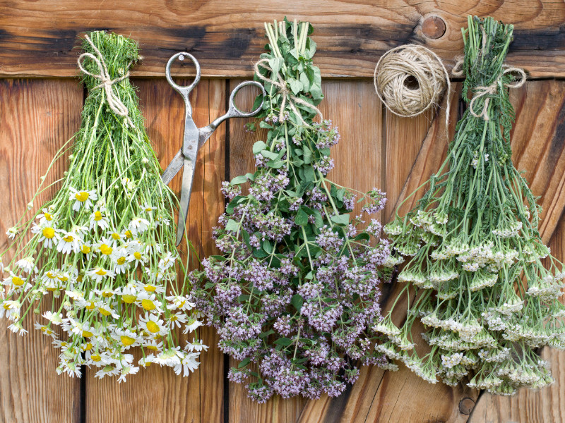 Herbal Plants to Grow For Homemade Tea - drying herbs
