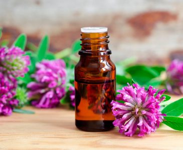 How to Make a Herbal Tincture