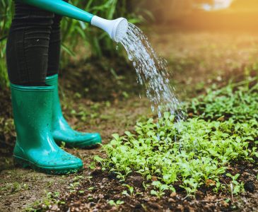 The Best Shoes for Gardening