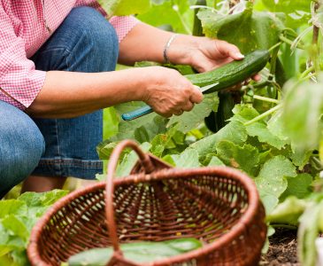 15 Clever Gardening Tips to Use