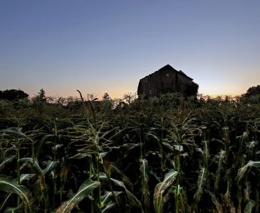 What It Takes to Be a Homesteader