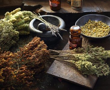 How to Become Your Family’s Herbalist